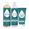 New Hair Care Bundle